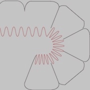 Mouse-Kidney-Cell-Lines